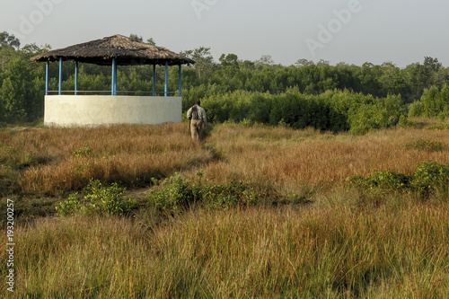 The Sundarbans is a vast forest in the coastal region of the Bay of Bengal and considered one of the natural wonders of the world. 