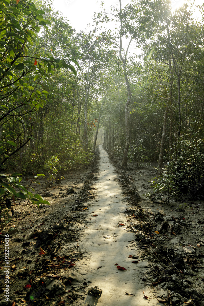 The Sundarbans is a vast forest in the coastal region of the Bay of Bengal and considered one of the natural wonders of the world.