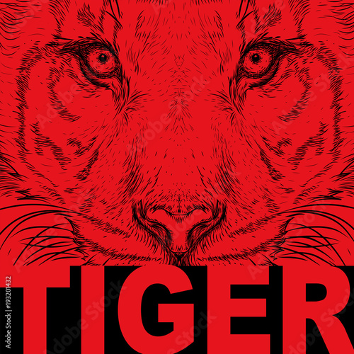 Fototapeta Naklejka Na Ścianę i Meble -  Hand draw tiger portrait. Hand draw vector illustration
