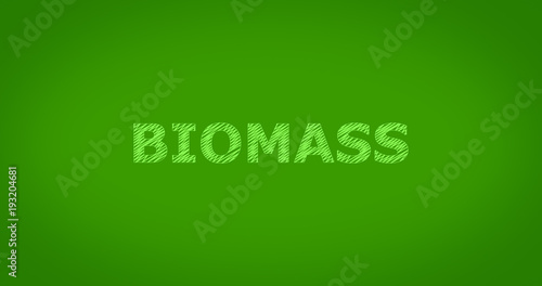 BIOMASS - Scribble text on green background 
