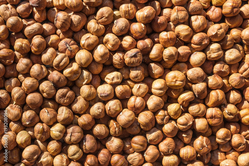 Harvest of hazelnuts.