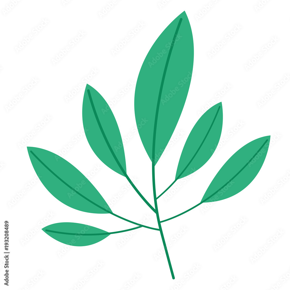 Fototapeta premium leafs plant ecology icon vector illustration design