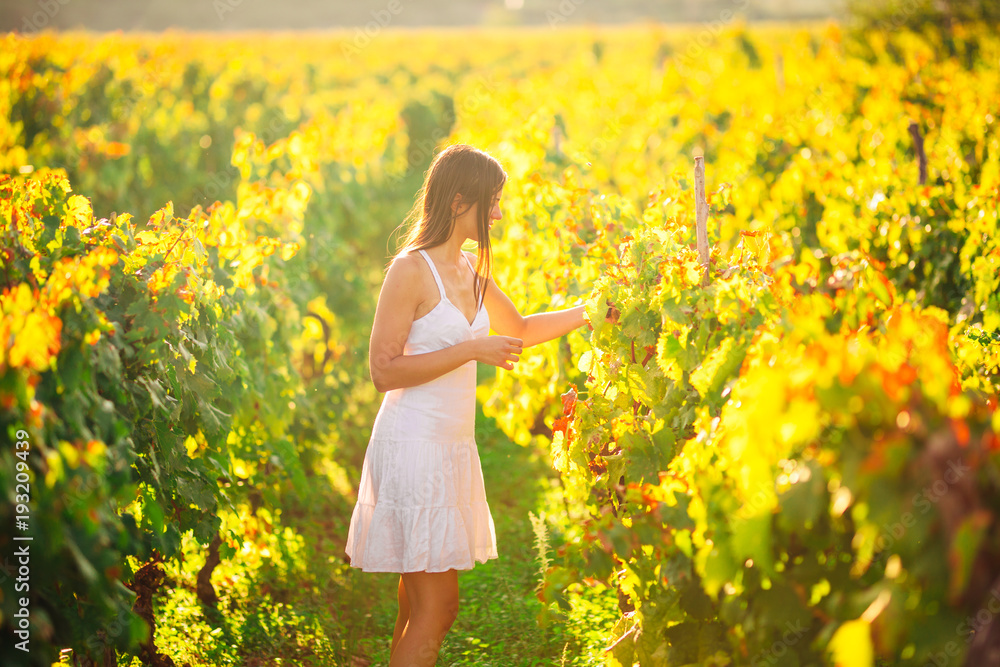 Smiling elegant woman in nature.Joy and happiness.Serene female in wine grape field in sunset.Wine growing field.Agricultural tourism.Visiting winery and vineyards.Wine expert,sommelier.Wine steward Smiling elegant woman in nature.Joy and happiness.Serene female in wine grape field in sunset.Wine growing field.Agricultural tourism.Visiting winery and vineyards.Wine expert,sommelier.Wine steward