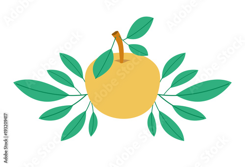 orange with leafs fresh and citrus fruit vector illustration design