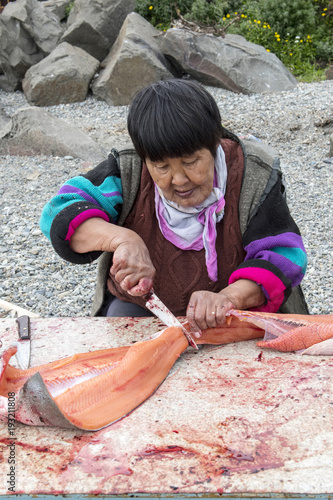 Senior Chukchi woman cuts  just catched sallmon on the sea shore and prepared it for drying