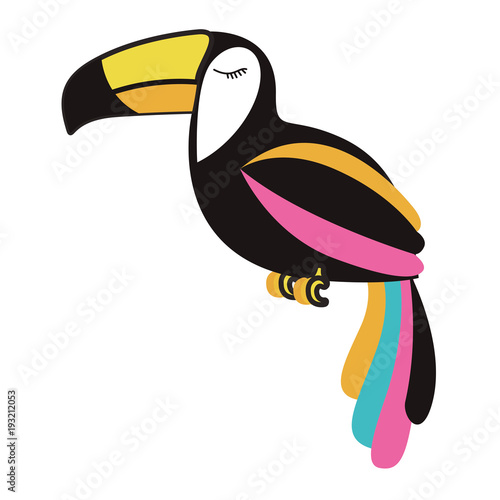 toucan exotic bird icon vector illustration design