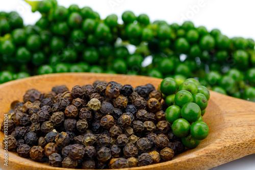 Fresh peppercorns and peppercorn in a wooden spoon. White background isolated Spices for cooking