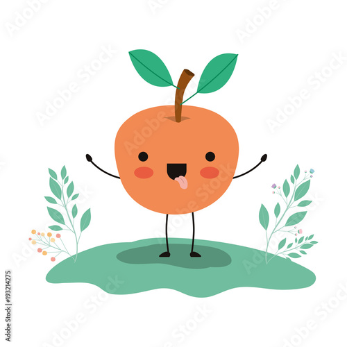 orange in the field fresh and citrus fruit vector illustration design