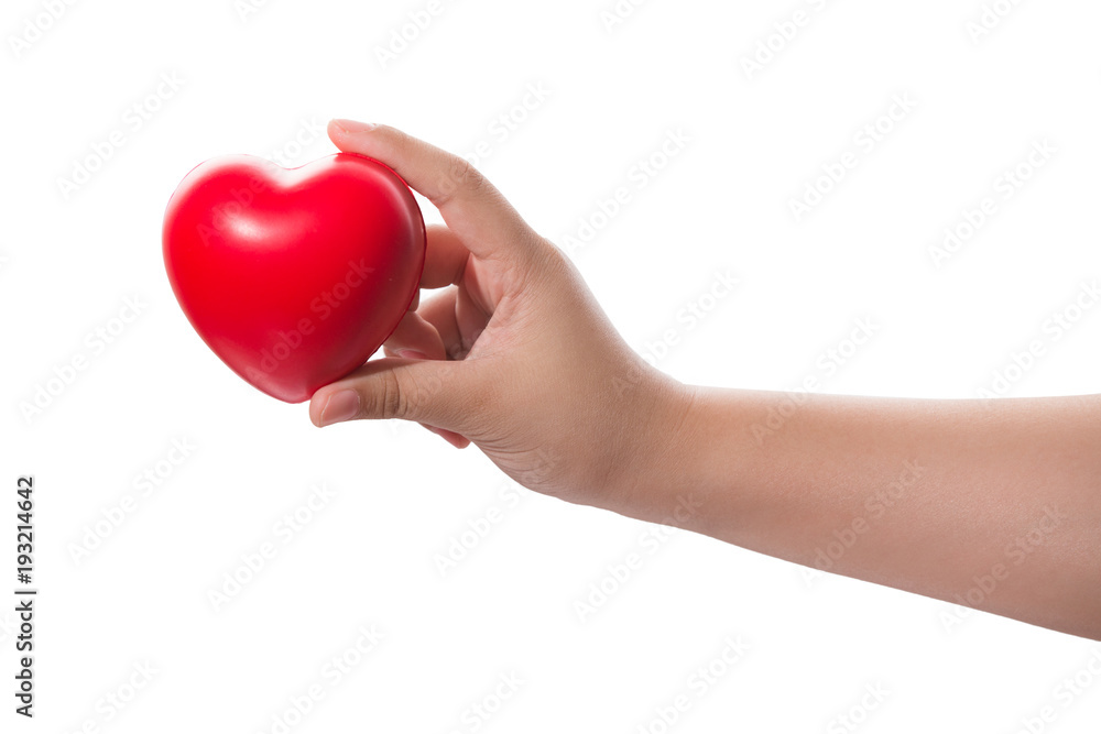 Red heart in hand on white background,Clipping path