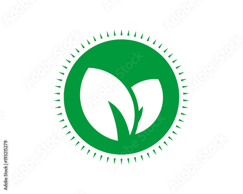 green leaves leaf plant nature image vector icon image