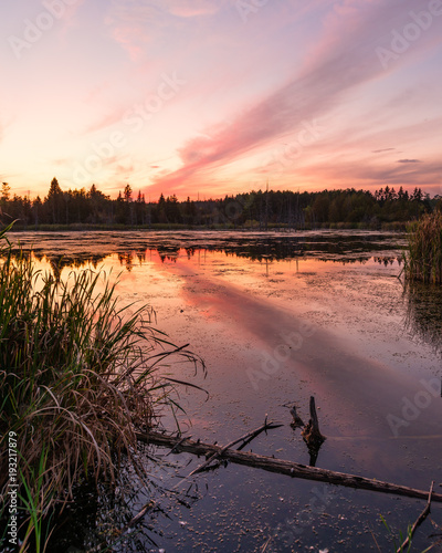 Sunset at Beaver Pond