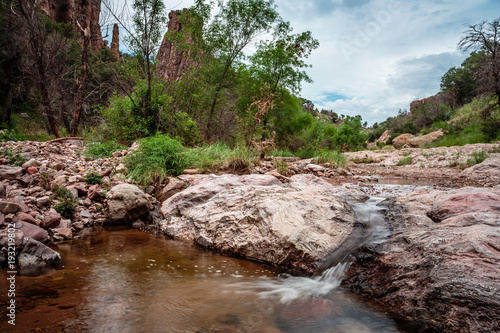Stream side along Sycamore Canyon in the Tumacacori Highlands near NNogales  Arizona.