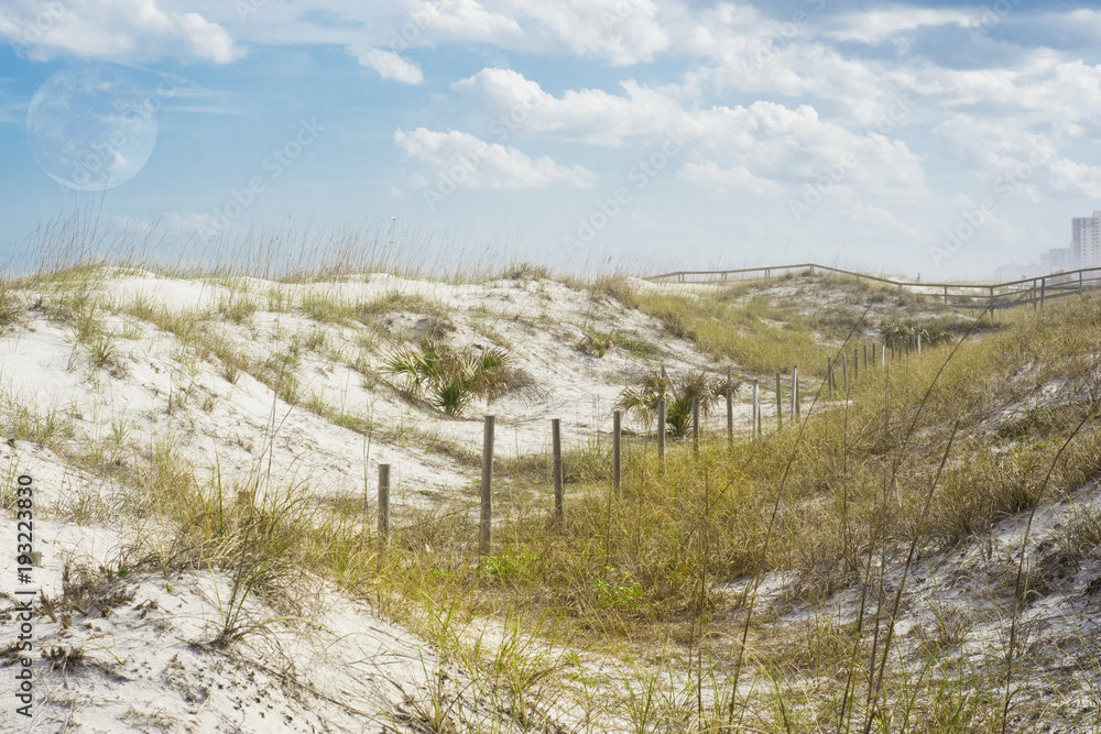 Sand Dunes