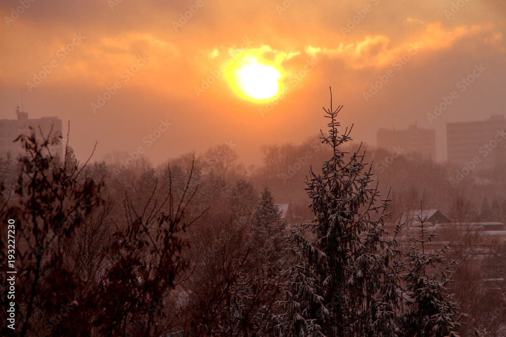 A snowy minus 5 degree world, the sunset sun A snowy minus 5 degree world, the sunset sun