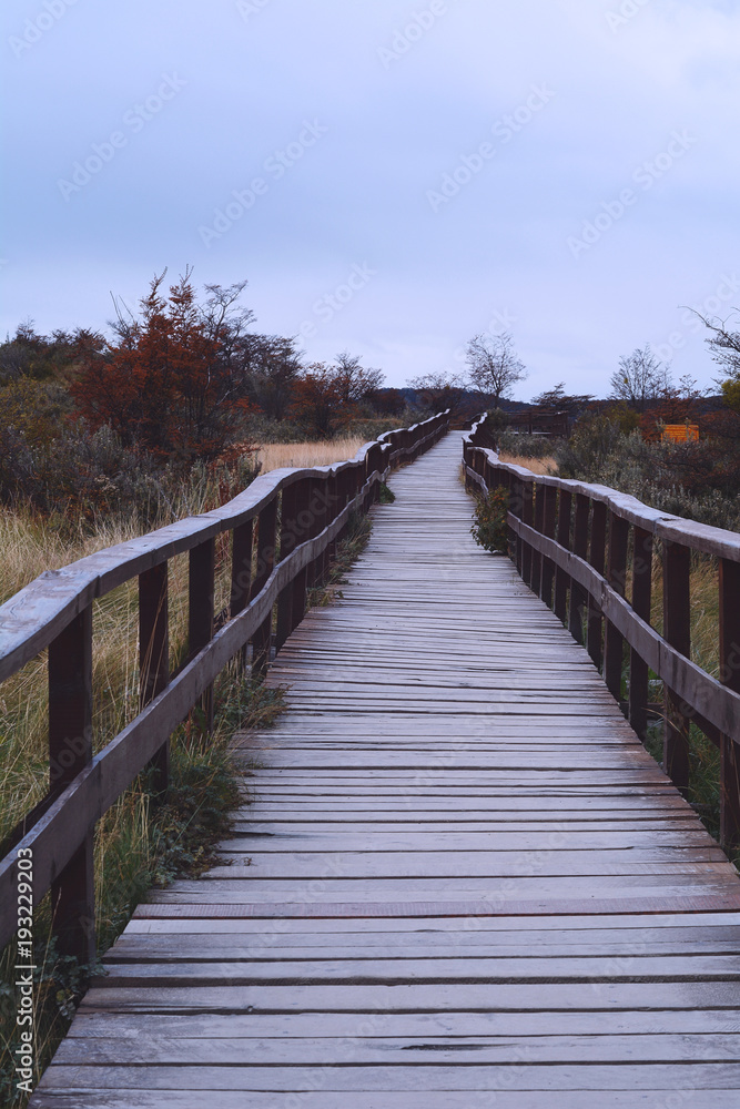 Wooden walkway in park.