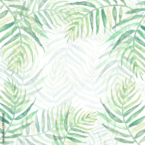 Watercolor Palm leaf background. Green on white watercolor hand drawn illustration. Green tropical palm leaf. watercolor watercolor card, postcard, invitation