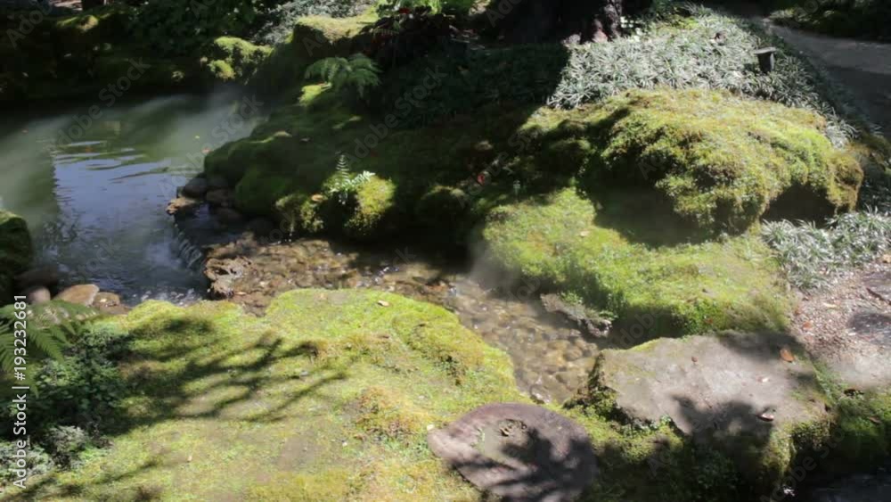 Moss covered rock in display garden, stock video Moss covered rock in display garden, stock video
