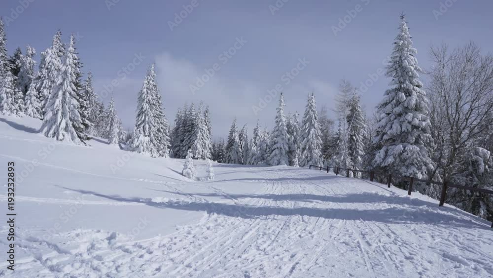 Frozen and snow covered landscape and trees on mountains during winter sunny day Frozen and snow covered landscape and trees on mountains during winter sunny day