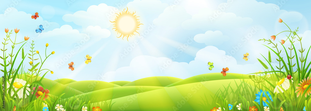 Obraz premium Lato lub wiosna słoneczna łąka z zieloną trawą i kwiatami