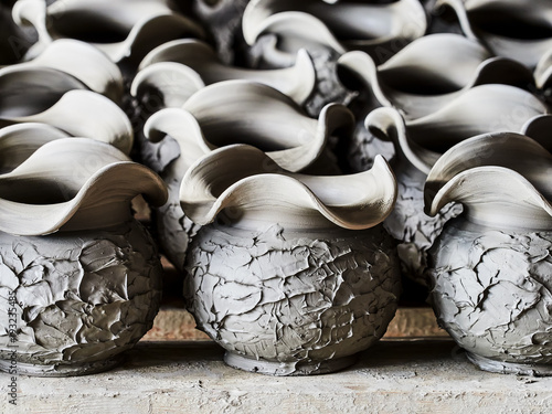 Unfinished clay pots on shelves as part of a ceramic pottery workshop in Marginea, Bucovina, Suceava county, Romania
