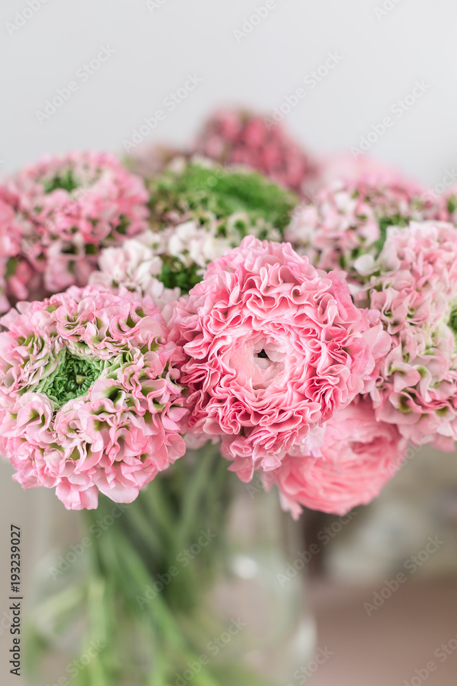 Persian buttercup. lace with many petals. Bunch pale pink ranunculus flowers light background. Wallpaper Persian buttercup. lace with many petals. Bunch pale pink ranunculus flowers light background. Wallpaper