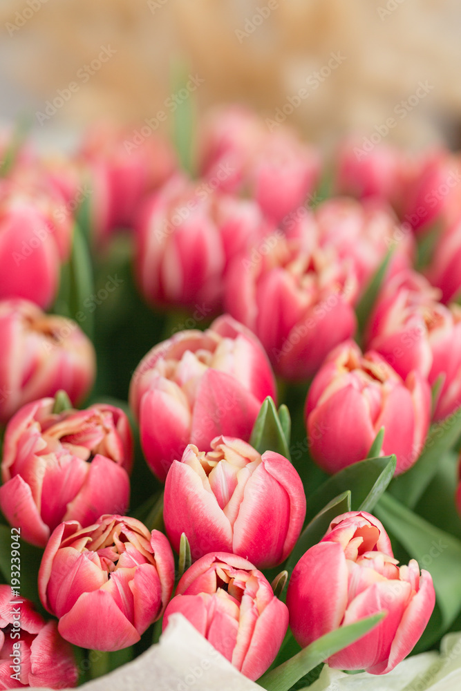 Fototapeta premium close-up. beautiful luxury bouquet of pink tulips flowers on table. the work of the florist at a flower shop.