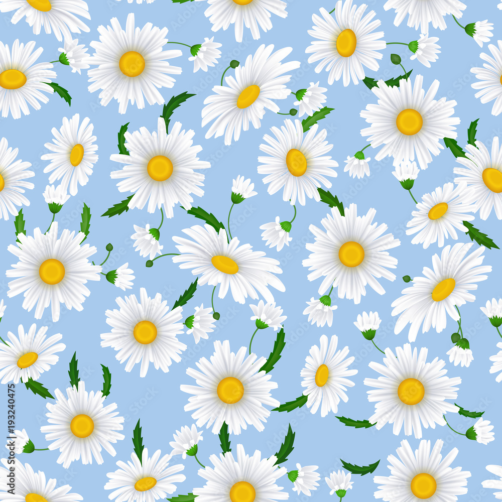 Seamless pattern with camomile flowers on a blue background