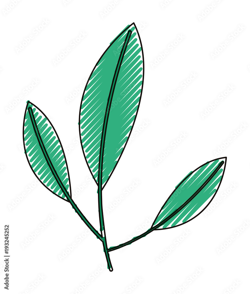 Obraz premium leafs plant ecology icon vector illustration design