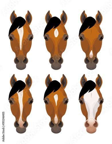 Vector horse different facial marks 