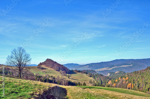 Fototapeta Naklejka Na Ścianę i Meble -  Autumn  landscape. Pieniny Mountains, Poland
