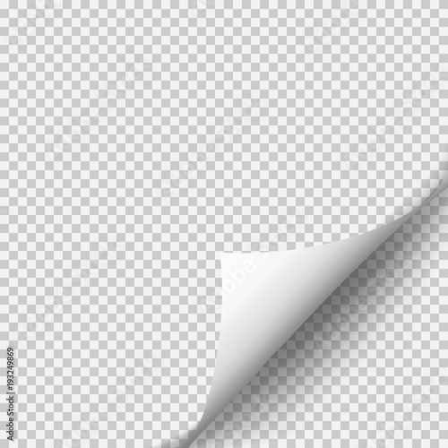 Page curl with shadow on blank sheet of paper