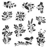 Set of vector floral decorative ukrainian ornaments element. Petrykivka style painting. Ethnic traditional design.