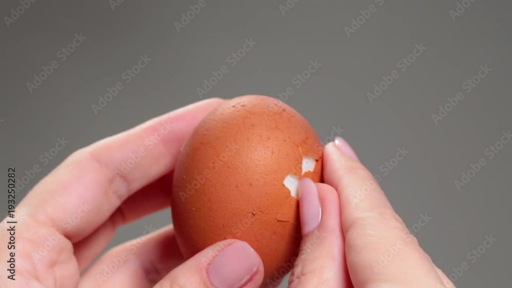 Closeup view of female hands holding boiled chicken egg. Woman peeling it. Closeup view of female hands holding boiled chicken egg. Woman peeling it.
