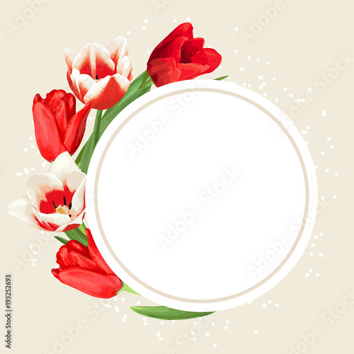 Frame with red and white tulips. Beautiful realistic flowers and buds