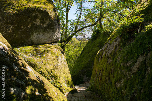 Mossy boulders lining a path in the forests on top of Mount Penha outside Guimaraes, Portugal