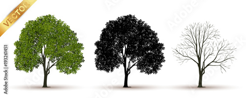 tree with a realistic