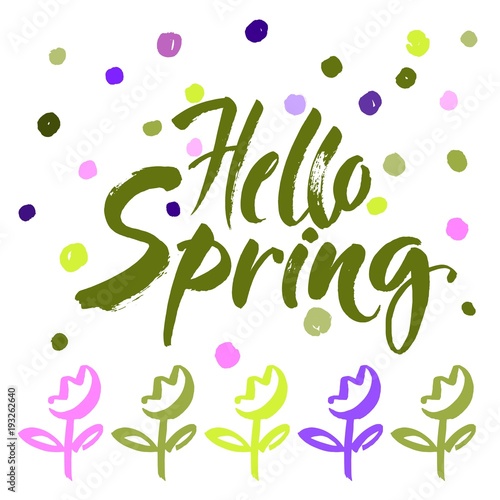Phrase Hello spring Brush lettering isolated on polka dots background. Handwritten vector Illustration.
