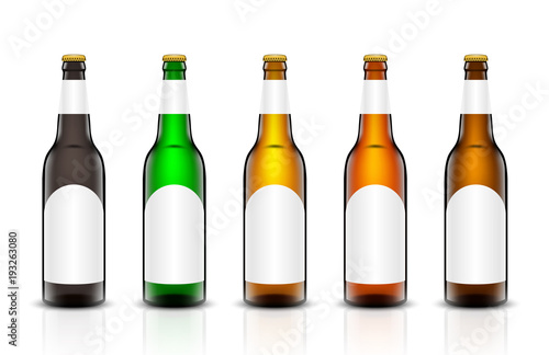 Beer bottle vector set.
