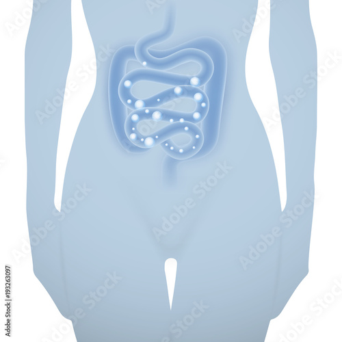Abstract medical vector illustration of woman silhouette with healthy intestine in a light blue color