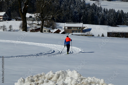 Cross-country skiing, Langlaufen photo