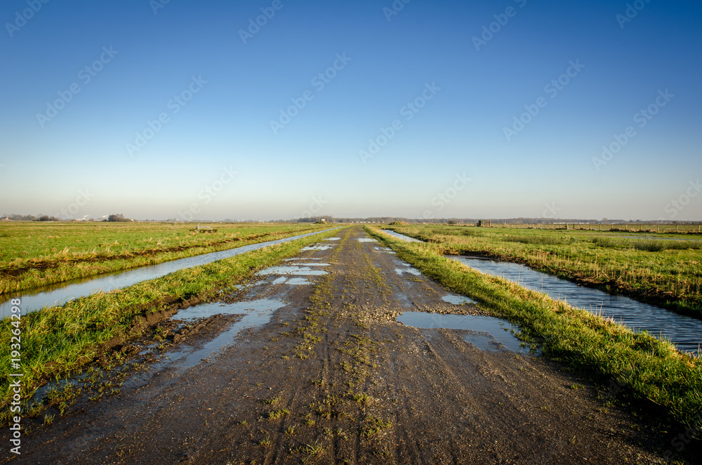 Dirty wet sandy road in the Dutch grasslands