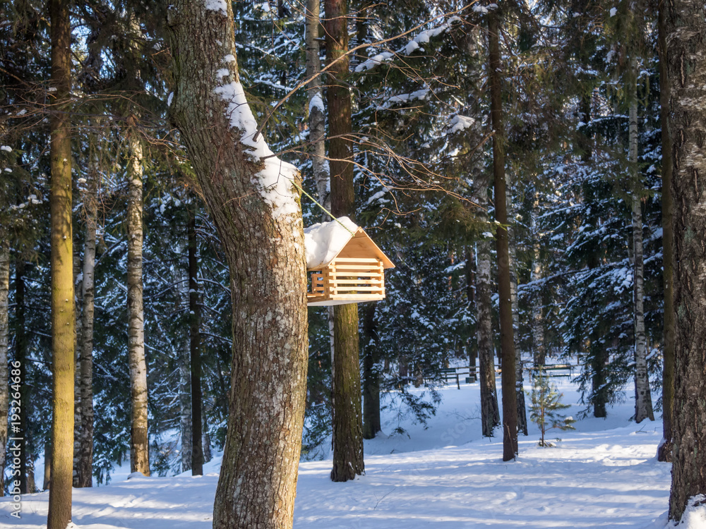Homemade feeder for forest birds in the winter forest Homemade feeder for forest birds in the winter forest