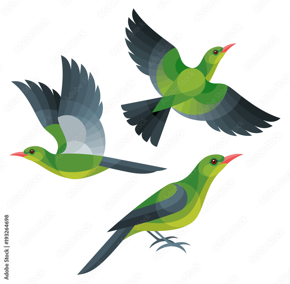 Obraz premium Stylized Birds - Green Oriole