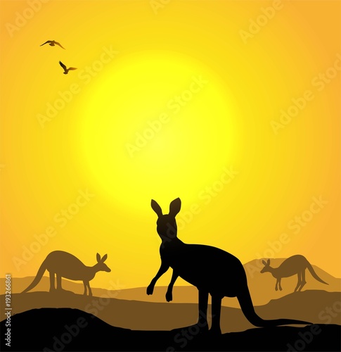 illustrazione vettoriale di canguro al tramonto