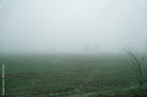 Landscape of dense fog in the field and silhouette of trees in warm winter