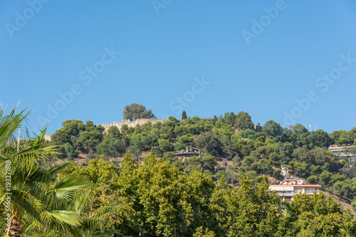 Old medieval castle walls hidden in trees