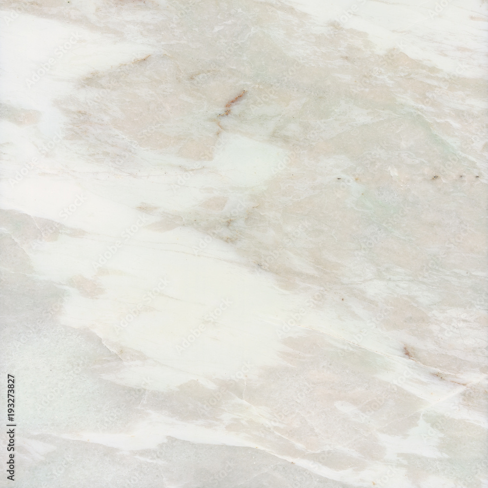 Obraz premium Leopar