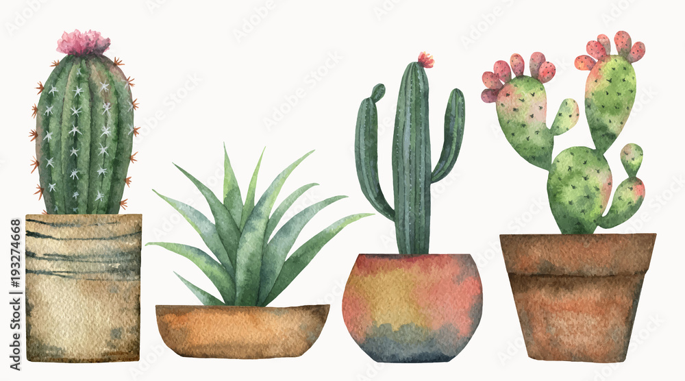 Watercolor vector set of cacti and succulent plants isolated on white ...