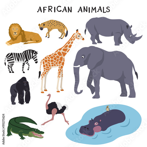 African animals (lion, hyena, rhinoceros, zebra, giraffe, elephant, gorilla, ostrich, crocodile, hippopotamus)