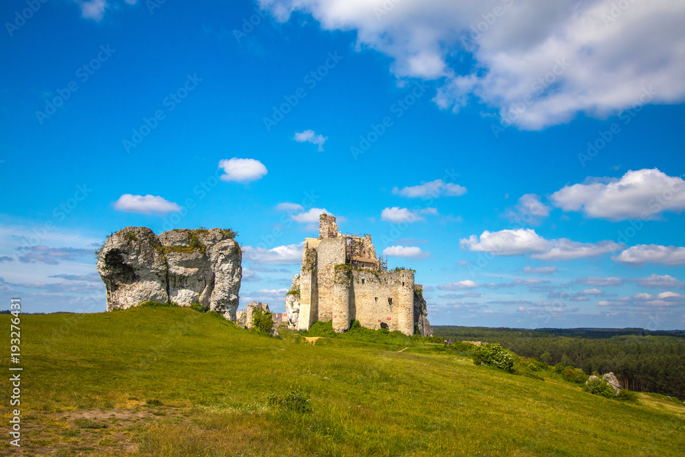 Medieval castle ruins landscape